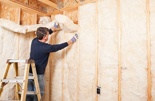 Best Eco-Friendly or Green Insulation Solutions  in USA